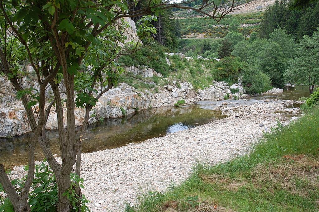 Les Airelles Ξενοδοχείο Saint-Cirgues-en-Montagne Εξωτερικό φωτογραφία
